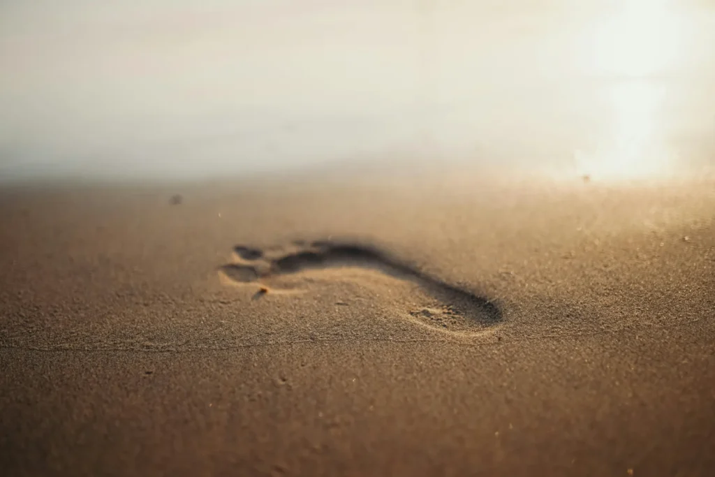 Strengthening BAME Non-Profits: 10 Ways to Build Capacity and Create Long-Term Impact